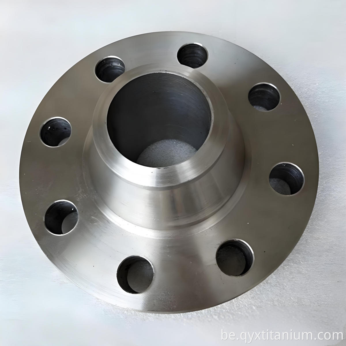 Titanium Flange